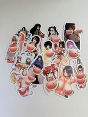 15 Sexy Anime Girl Stickers Waifu Skateboard Phone Laptop Same as Pictures