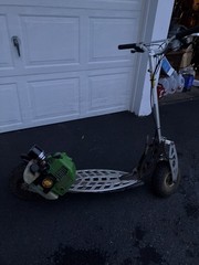 Evo 2x Original Puzey Active Gas Scooter Goped Go-ped Go Ped Bladez