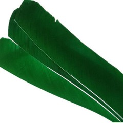 50pcs Multicolor Full length 7-9in Fletches RW Turkey Feather for Archery Arrows