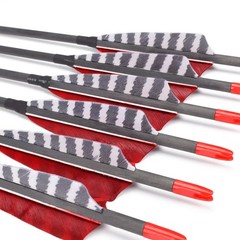Hunter Ian Archery Pure Carbon Arrows 600 Spine 30 Inch Turkey Feather Fletch…