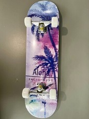 Wilver Complete Skateboards for Beginners to Pro 31 inches – Color B Aloha