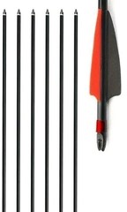 10 Fiberglass 30″ Inch Arrows and Matching Red Black Telescopic Quiver