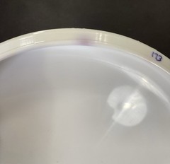 Discraft 💎 ESP FLX Challenger – Original Wixom Tool – PFN OOP & HTF 173 RARE 💎