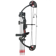 Compound Bow Archery kit for Youth ＆Beginner,15-29 lbs,Adjustable LW Hunting Bow