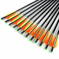 12Pcs 20in Crossbow Bolts Fiberglass Crossbow OD 8 mm Flat Nocks Archery Arrows