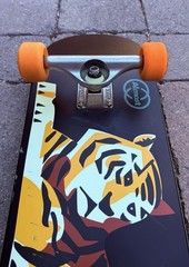 Almost Skateboards John Dilo Animals Complete Skateboard Independent Bones Swiss