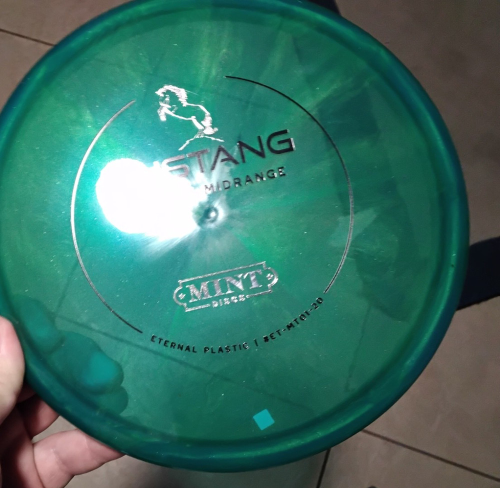 NEW MINT DISCS 1ST RUN ETERNAL MUSTANG 177 GRAMS