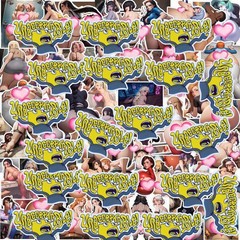 48 Pack Sexy Anime Girls Waifu Vinyl Women Stickers Hentai Ahegao Decals Lot