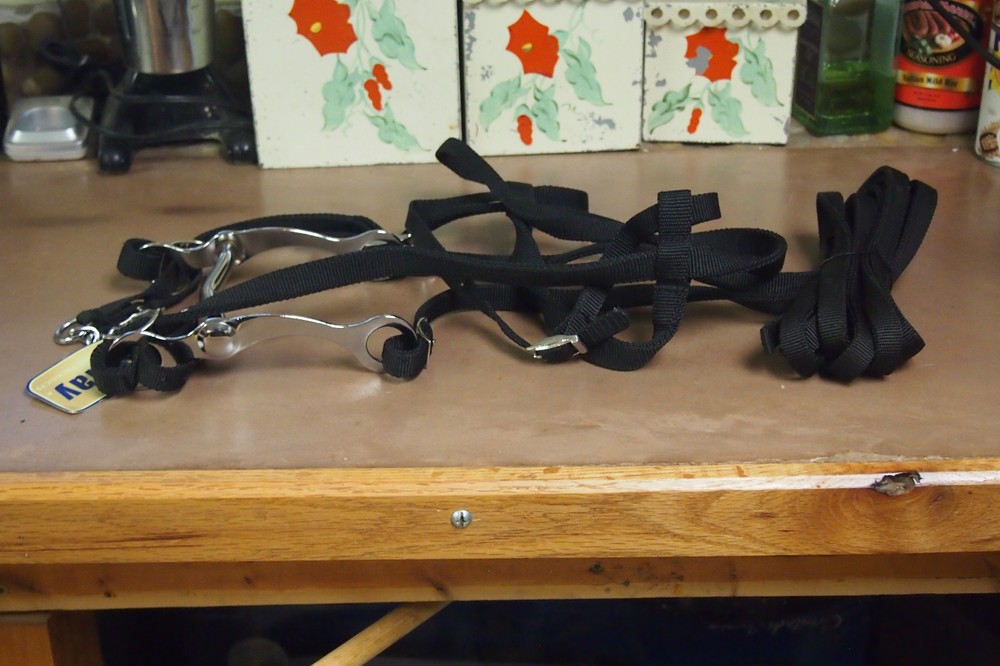 Formay Headstall and Bit Bridle – Black Nylon – NWT
