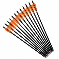 12Pcs 20in Crossbow Bolts Fiberglass Crossbow OD 8 mm Flat Nocks Archery Arrows