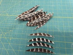 5″ Right Wing Banana Natural Barred Feather Fletching, 25Pk Archery 🇺🇸