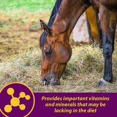 Horse Health Red Cell, Suplemento Liquido De Vitaminas, Hierro Y Minerales Para