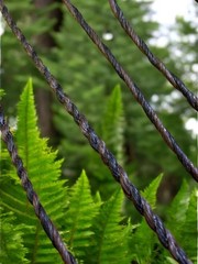 B55 Flemish Twist – 16 Strand – For Samick Sage / Bear Grizzly – Color Options