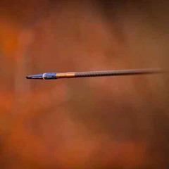Swhacker LMS 2 Blade Curved 125gr 2.5» Cut Broadhead (3pk)