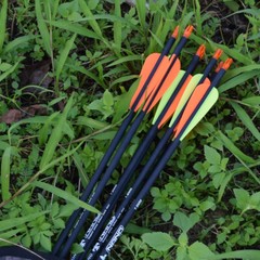 26 28 Inch 12PCS Carbon Archery Arrows Hunting for Archery Compound&Recurve Bows