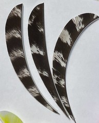 4″ New, FREE SHIPPING! Real Turkey Feather Fletching Arrows and Darts 25 Pack