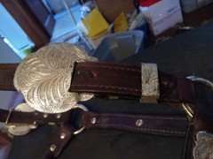 used horse show halter silver