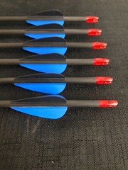 Black Eagle Intrepid 700 .006 Fletched Youth Field Arrows (6 Arrows) BRAND NEW
