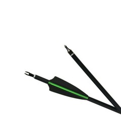 12Pcs 30 Inch Carbon Arrow Practice Hunting Arrow for Compound Bow Recurve Bow