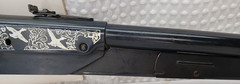 VTG DAISY MODEL 25 WARDS HAWTHORNE MALLARD DUCK STAMP EDITION BB GUN RIFLE