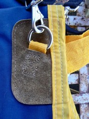 Gore-Tex Turnout Rug Dover Saddlery Classic Cover-Ups 76″ Blue Yellow Trim