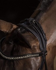 Schockemohle Crystal Bridle Westminster black/silver | NO IMPORT FEES