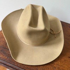 Vintage Stetson Ranger Style Felt Cowboy Hat Size 7 Tan Silverbelly Western