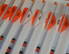 6 Easton 6.5 Hunter Classic 300 Carbon Arrows Custom Dip/Crest & Blazer Vanes