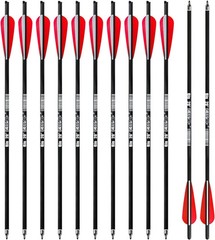 Eco-Friendly Carbon Crossbow Bolts – Consistent 12-Pack – Perfect for Practice