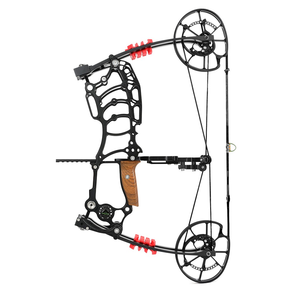 Dual-use Compound Bow Kit 30-70lbs Steel Ball Arrows Archery Outdoor Shoot RH LH