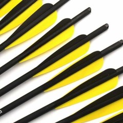 12Pcs 20Inch Crossbow Bolts Carbon Arrows /12Pcs Hunting Broadheads /Quiver Tube