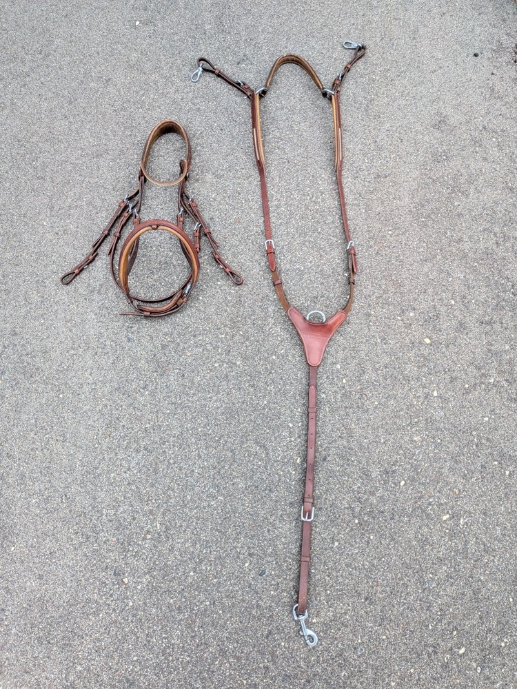 Crystal Schockemohle Delaware Bridle & Matching St. Lewis Breastplate 🤩