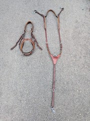 Crystal Schockemohle Delaware Bridle & Matching St. Lewis Breastplate 🤩