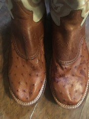 Dan Post Brown and cream ostrich skin western equestrian boots