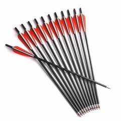 12Pcs 20″ Crossbow Bolts Mixed Carbon Hunting Arrow Changeable Tips Half Nocks