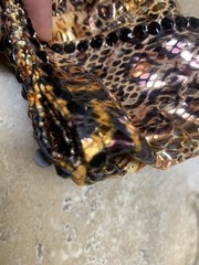 Western Show Women’s Horse Riding Shirt Shiny Animal Print W/ Jewels Very Flashy