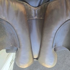 Avante All Purpose English Schooling Saddle 19″