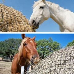 Round Bale Hay Net for Horses Slow Feed 5×5 Ft with Gloves and Repair Tool