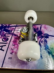 Wilver Complete Skateboards for Beginners to Pro 31 inches – Color B Aloha