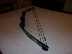 Bear Archery Black Bear Compound Bow NICE