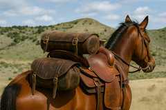 Challenger Distressed Brown Genuine Leather Saddle Cantle Riding Bag 102QSA