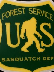 SASQUATCH STICKER «FOREST BIGFOOT» 2 3/4 X 3″ GLOSSY THICK WATERPROOF OUTDOOR