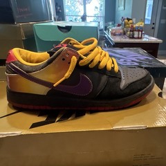 Nike SB Low-Top Appetite for destruction Shoes US 8.5 D Medium Width