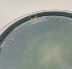 Discraft 💎 ESP ATHENA – Prototype – Cotton Candy Halo 173-174 Rare 💎