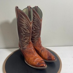 Dan Post Boots Men 9.5 Brown Eel Skin Leather Western Cowboy Snip Toe Exotic