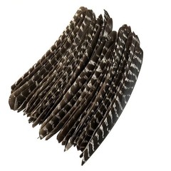 50X Archery Full Length Arrow Feathers Fletches Turkey Fletching Shaft DIY RW LW