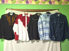 VTG / Modern Women WESTERN Shirt Lot (5) Small L/s Adobe Rose Rockmount ++ Vgc