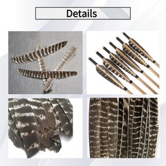 50pcs Full Length Fletching Archery Turkey Feather Flu-flu L/H Wing DIY Hunting