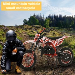 50cc Kids Gas Dirt Bike KIDS motocross sport gas 2 stroke engine Motocross
