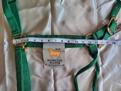 Hamilton 1” Nylon Halter Draft (x-Large) size Green NWT